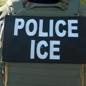 Florida Immigration Operation: Federal and State Collaboration Targets Key Areas