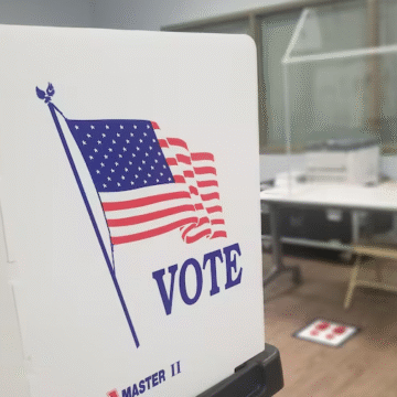 Who’s Running in the Tampa District 5 Special Election?